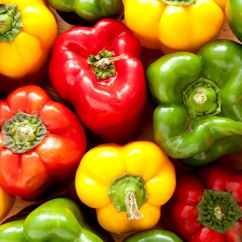 Fresh Capsicum Exporters from India